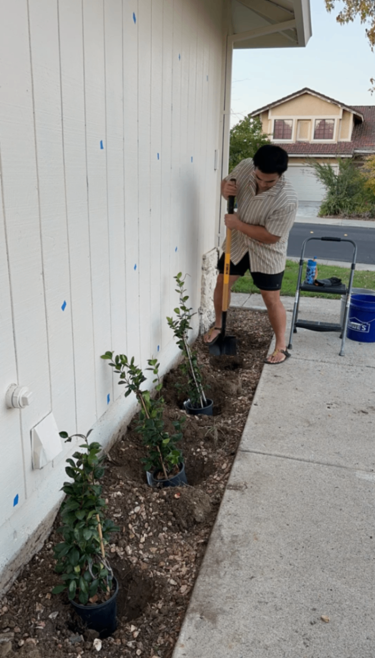 View recent photos 12