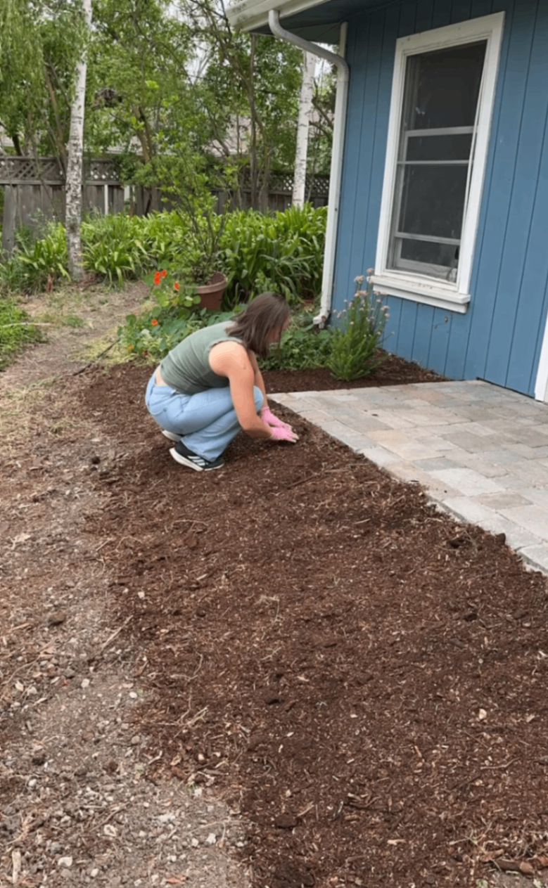 Mulch up to paver edge