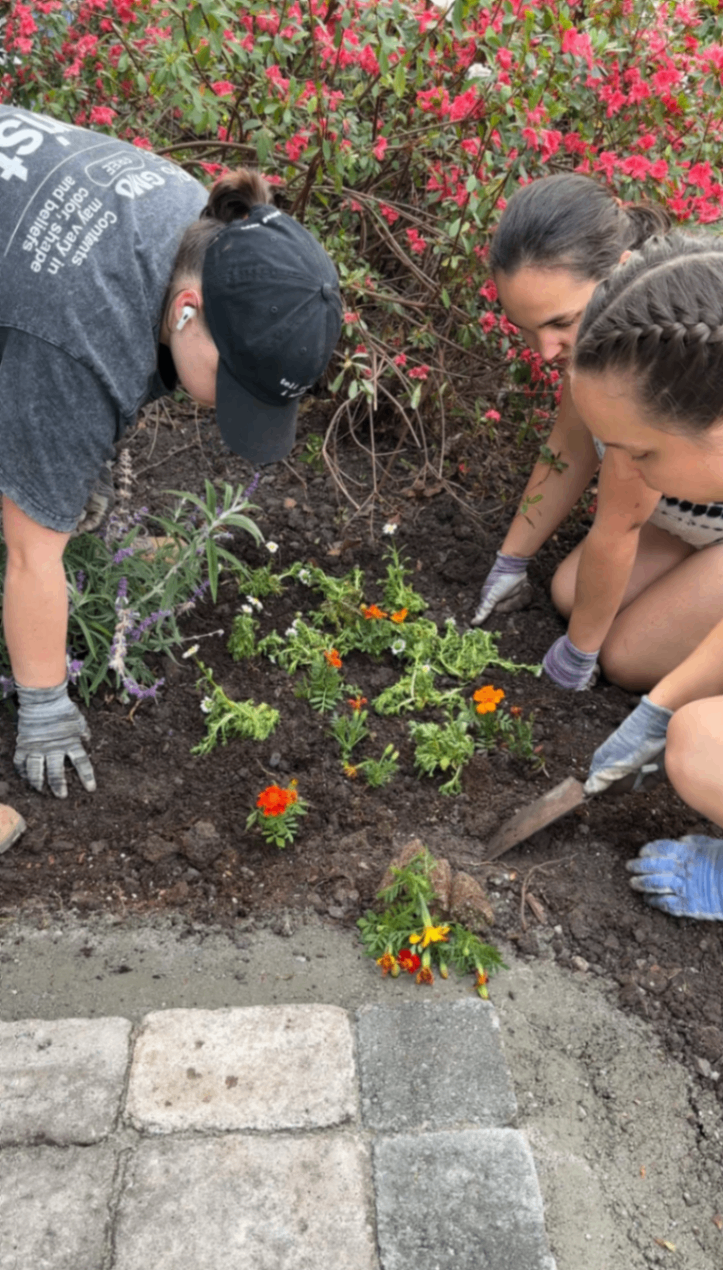 Planting flowers