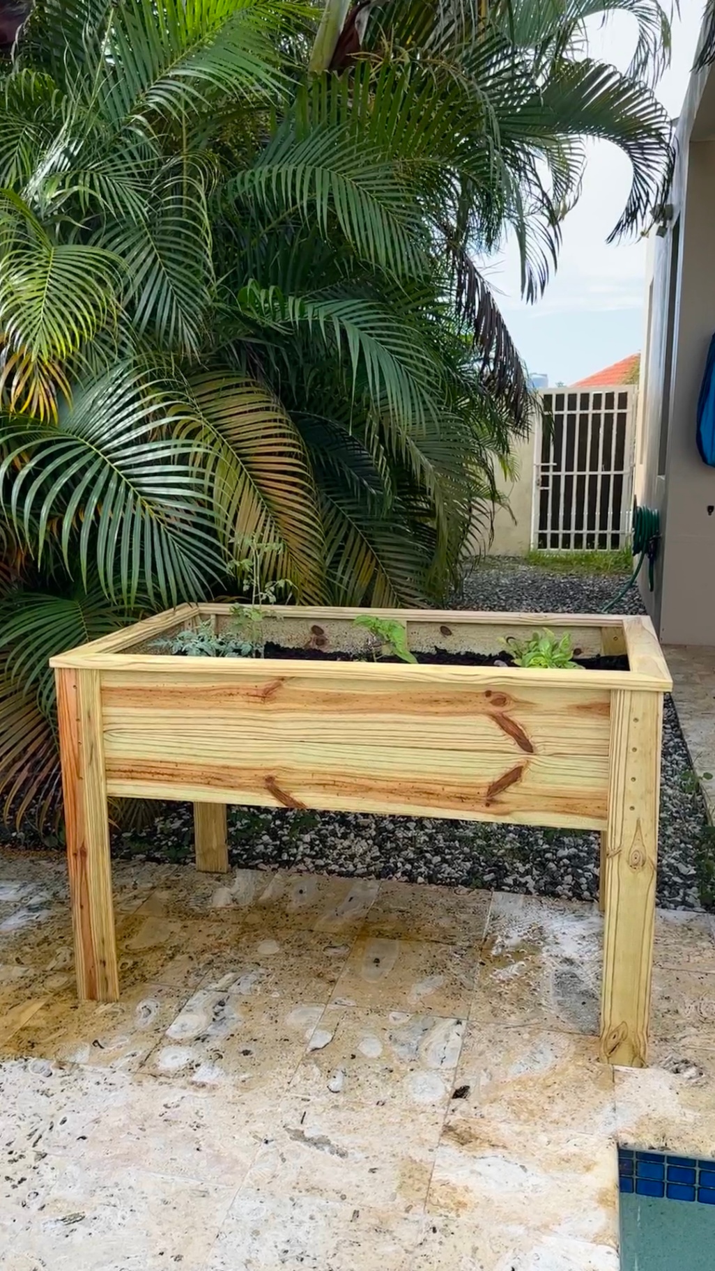 garden bed after 3