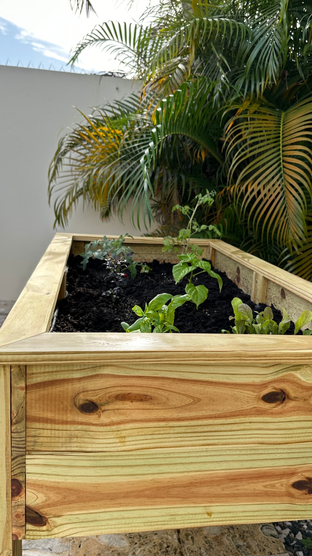 garden bed after 4