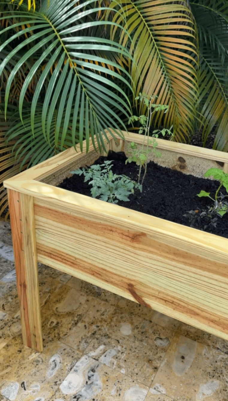 garden bed after 1