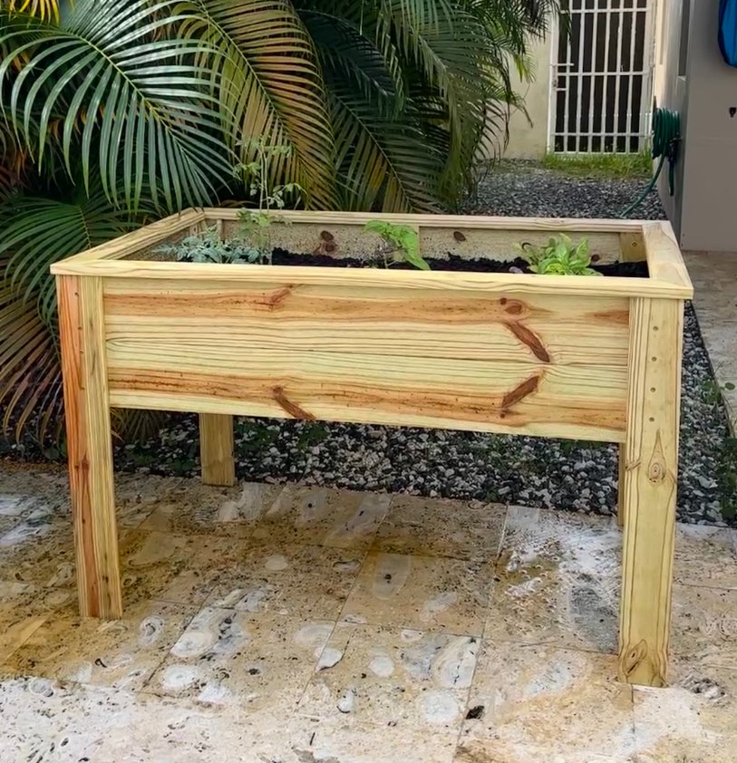 garden bed after 3